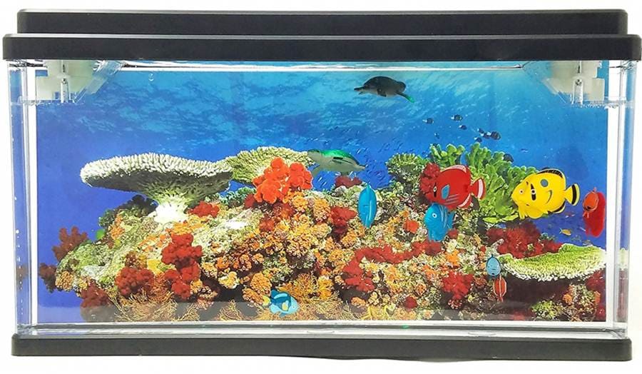 Fish Aquarium