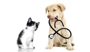 Pet Health Checkup