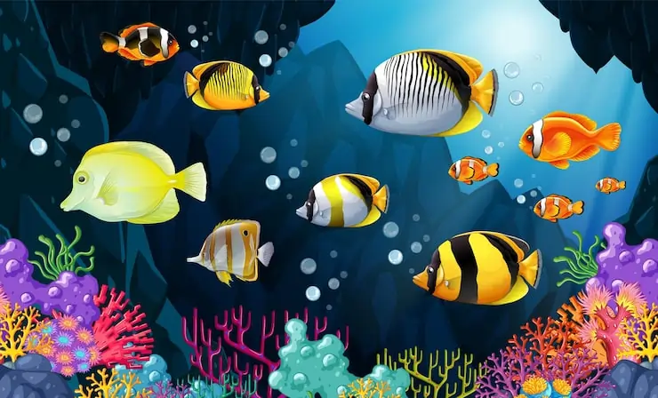 Best Fish Aquarium Shop In Delhi and Dehradun