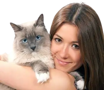 Best Cat Shop In Delhi and Dehradun