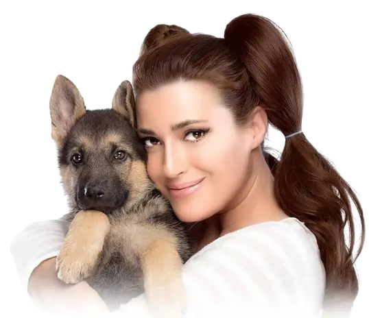 Best Dog Shop In Dehradun and Delhi