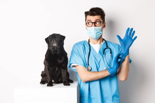 Veterinary Doctor in Noida - PetHouse