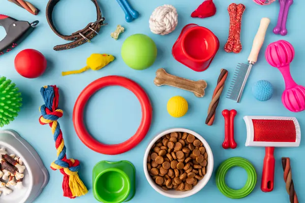 Pet Accessories - Complete Guide - PetHouse