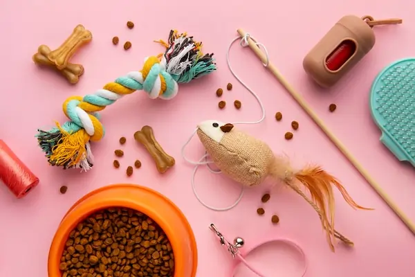 Cat Accessories - Complete Guide - PetHouse